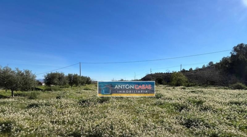 Alicante - Aspe - 21469m2