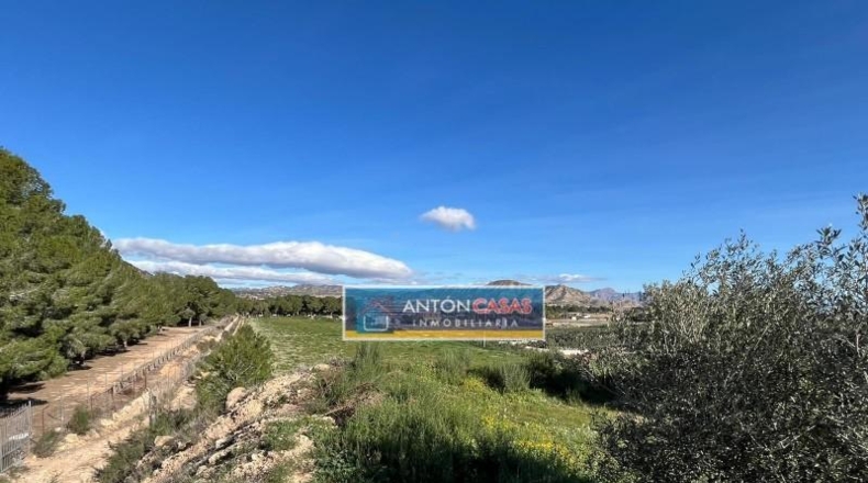 Alicante - Aspe - 21469m2