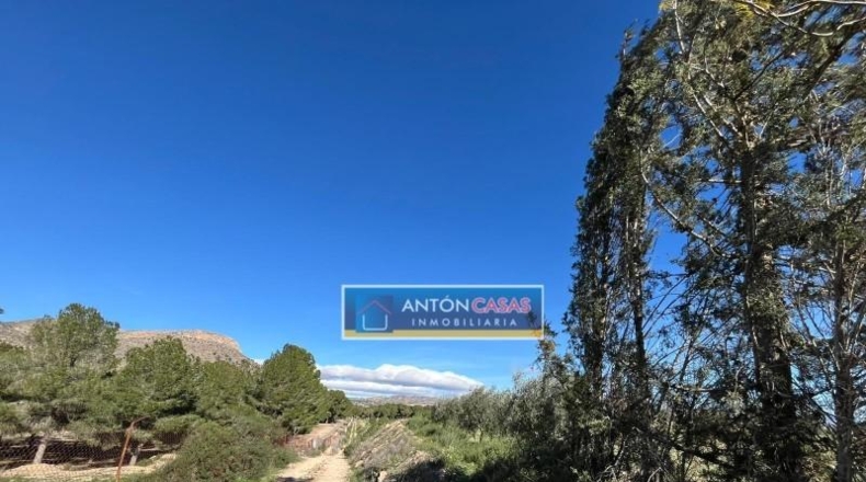 Alicante - Aspe - 21469m2