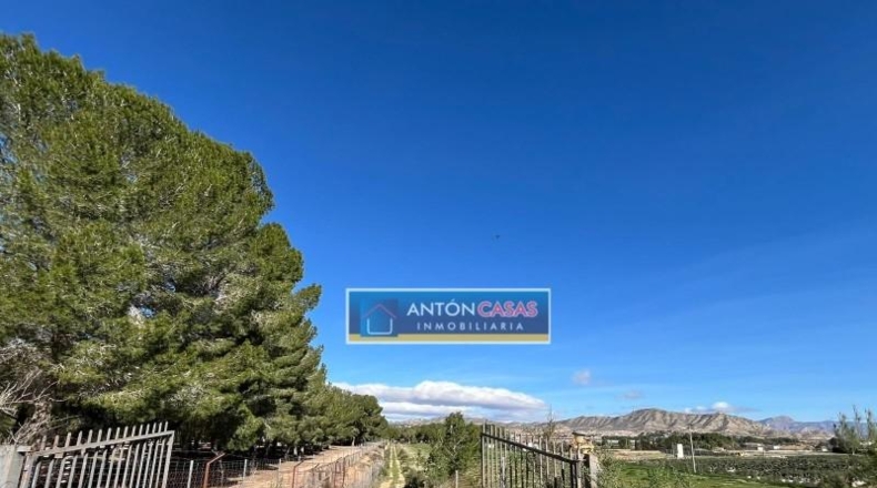Alicante - Aspe - 21469m2