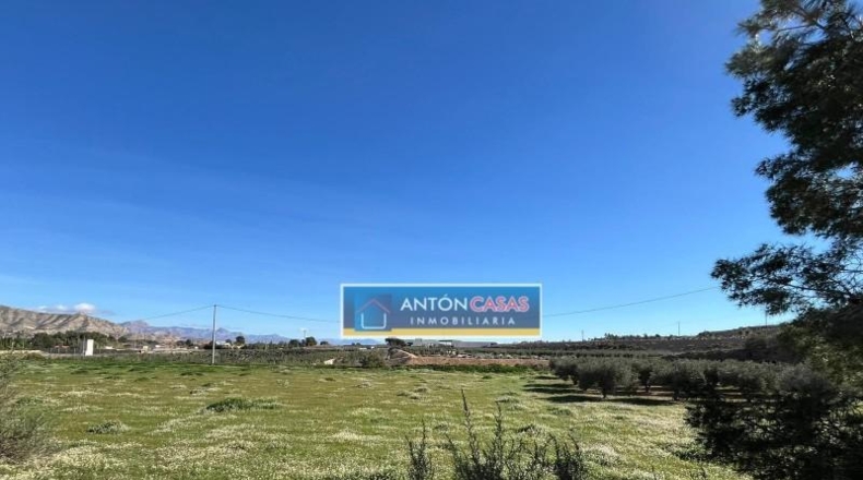 Alicante - Aspe - 21469m2