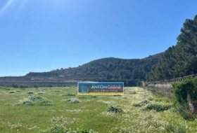 Foto 11