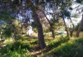 Casa de camp amb terreny en venda a la España, Alhama de Murcia, ref.: TR384403 foto