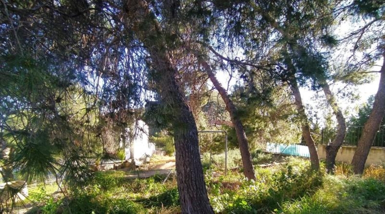 Murcia - Alhama de Murcia - 13009m2