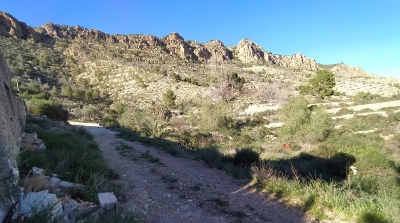 Murcia - Alhama de Murcia - 13009m2