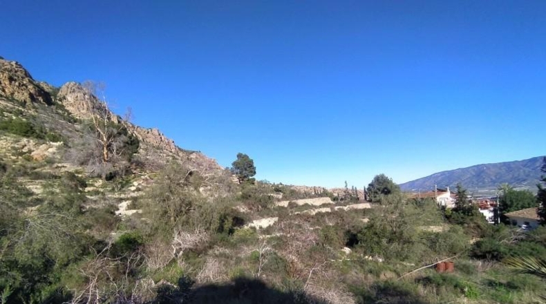 Murcia - Alhama de Murcia - 13009m2