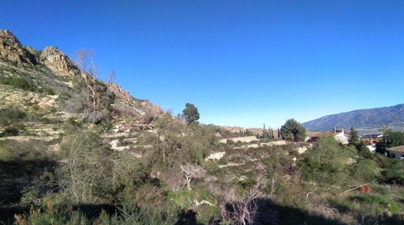Murcia - Alhama de Murcia - 13009m2