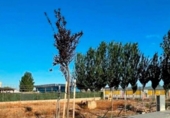 Sòl urbà en venda a la España, la Pobla de Mafumet, ref.: TR384554 foto