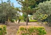 Chalet independiente con terreno en venta en la España, Mazarrón, ref: TR399844 foto