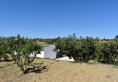 Casa de camp amb terreny en venda a la España, Madrid, ref.: TR398228 foto