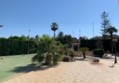 Terreny no urbanitzable en venda a la España, Elx, ref.: TR397798 foto