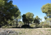 Sòl urbà en venda a la España, Barcelona, ref.: TR397847 foto