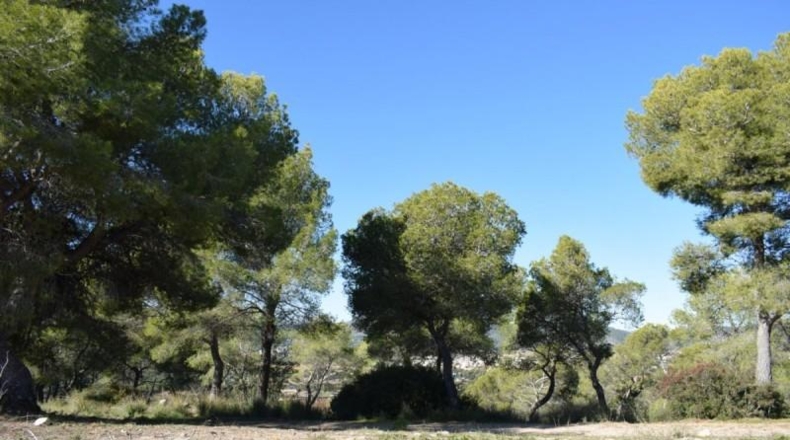 Barcelona - Barcelona - 4247m2