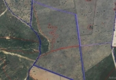 Non-developable land for sale on España, Serradilla del Arroyo, ref: TR385235 photo