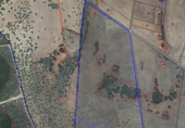 Non-developable land for sale on España, Serradilla del Arroyo, ref: TR385235 photo