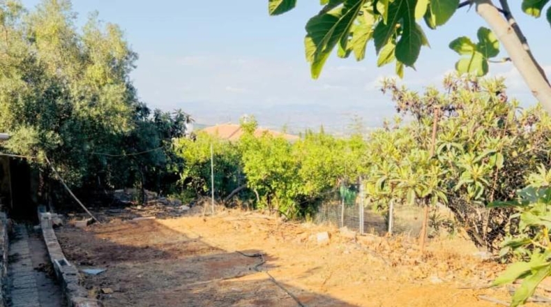 Málaga - Alhaurín de la Torre - 1270m2