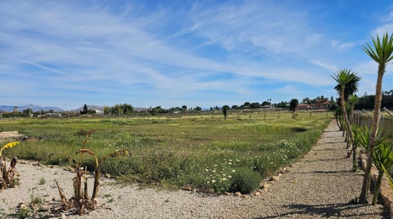 Alicante - Torrellano - 10000m2