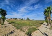 Casa de camp amb terreny en venda a la España, Torrellano, ref.: TR399709 foto