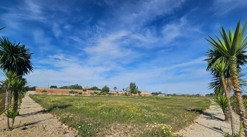 Alicante - Torrellano - 10000m2