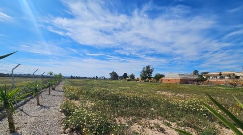Alicante - Torrellano - 10000m2