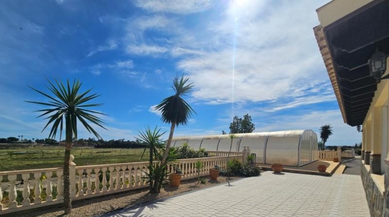 Alicante - Torrellano - 10000m2