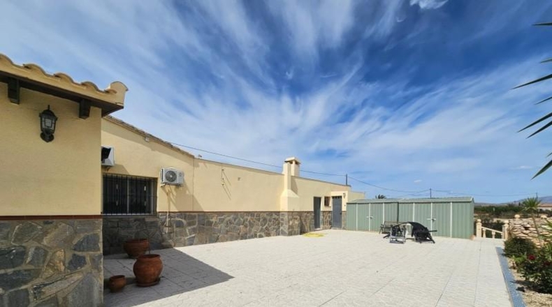 Alicante - Torrellano - 10000m2