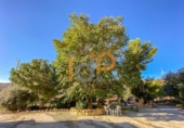 Finca rústica en venda a la España, Huércal-Overa, ref.: TR399475 foto