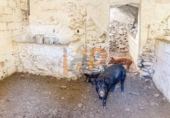 Finca rústica en venda a la España, Huércal-Overa, ref.: TR399475 foto