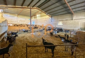 Huércal-Overa 19000&nbsp;m² 