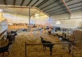 Finca rústica en venda a la España, Huércal-Overa, ref.: TR399475 foto