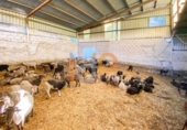 Finca rústica en venda a la España, Huércal-Overa, ref.: TR399475 foto