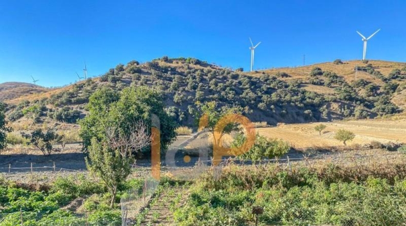 Almeria - Huércal-Overa - 19000m2