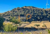 Finca rústica en venda a la España, Huércal-Overa, ref.: TR399475 foto