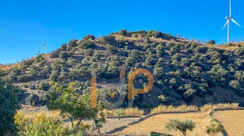 Almeria - Huércal-Overa - 19000m2