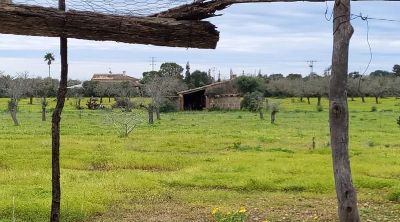 Illes Balears - Lluchmayor - 32000m2