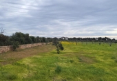 Rural estate for sale on España, Llucmajor, ref: TR398493 photo