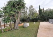 Xalet independent amb terreny en venda a la España, Elx, ref.: TR399929 foto