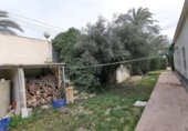 Xalet independent amb terreny en venda a la España, Elx, ref.: TR399929 foto