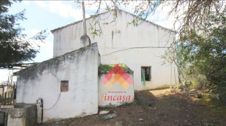 Asturias - Coaña - 42700m2