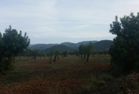 Inca 32000&nbsp;m²