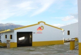Ronda 10000&nbsp;m² 