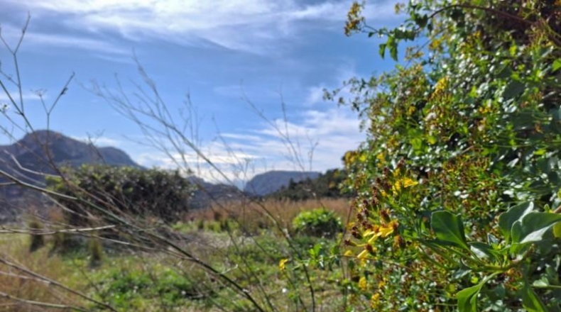 Alicante - Benissa - 120000m2