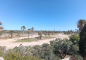 Xalet independent amb terreny en venda a la España, Huércal de Almería, ref.: TR398076 foto