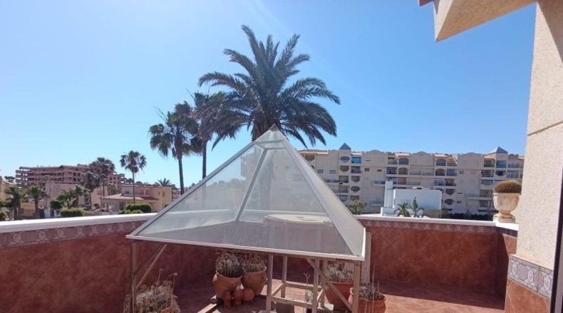 Almeria - Almeria - 600m2