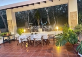 Detached villa with land for sale on España, es Mercadal, ref: TR383861 photo