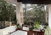 Detached villa with land for sale on España, es Mercadal, ref: TR383861 photo