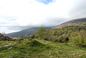 Foto 13
