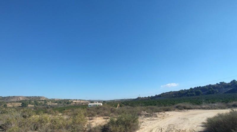 Alicante - Orihuela - 298000m2