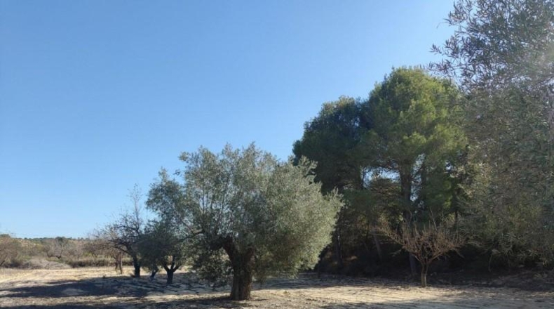 Alicante - Orihuela - 298000m2