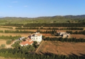 Chalet independiente con terreno en venta en la España, Camarles, ref: TR399846 foto